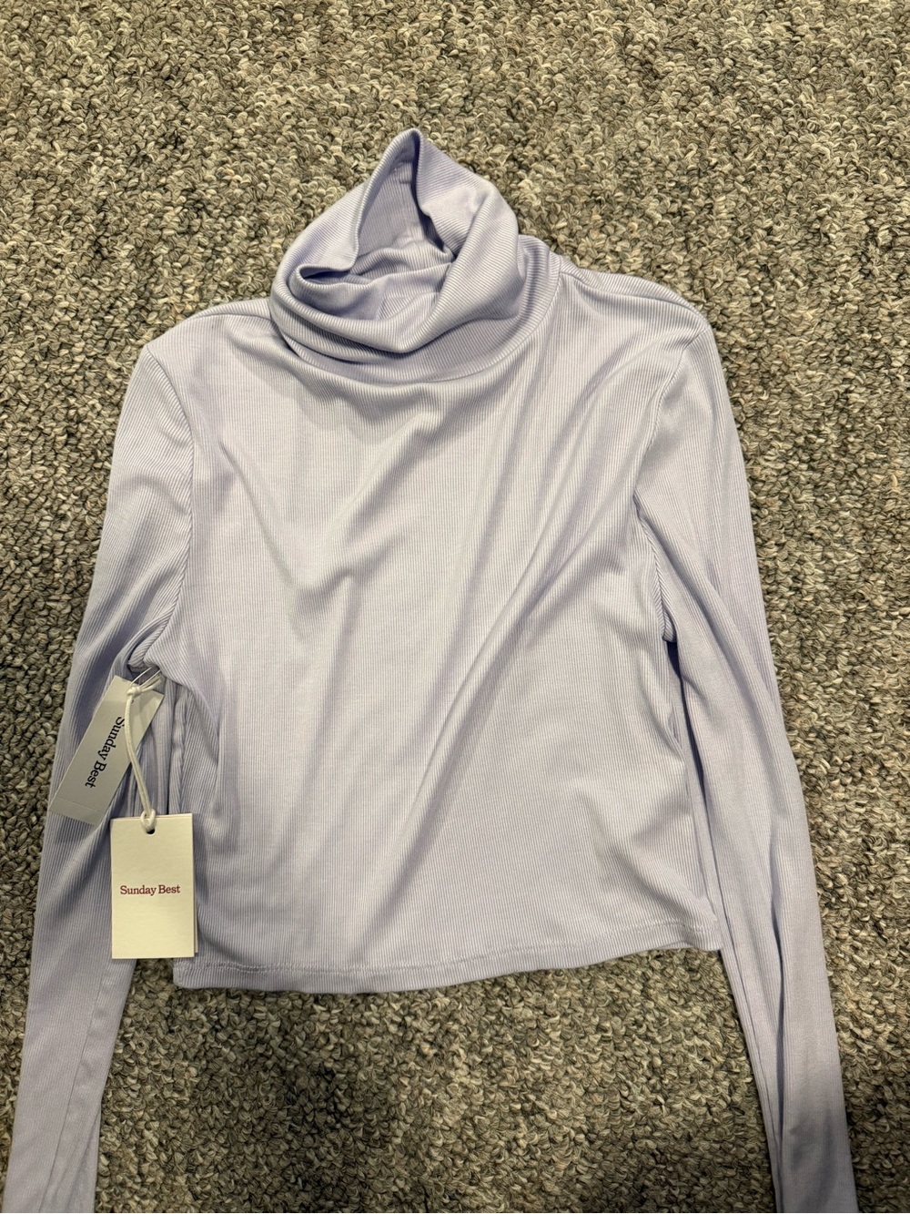 Aritzia Sunday Best dusk blue Turtleneck Long Sleeve Top